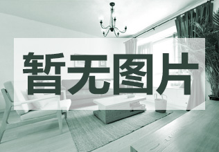 成功案例